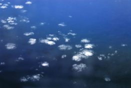 Alejandro Aguilera - Breve Ensayo Sobre la Soledad - Hablando sobre Monet